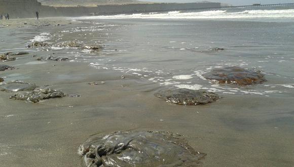 Municipalidad de Lurín alerta sobre presencia de malaguas en playa Arica. (Foto: GEC/ Referencial)