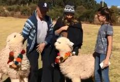 Sergio Mayerfue escupido por alpaca cuando intentó tomarse una foto | VIDEO