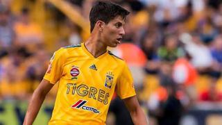 Tigres vs. Puebla: el golazo de Damm en el Estadio Universitario | VIDEO