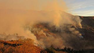 Áncash: incendio arrasa pastizales y deja animales carbonizados