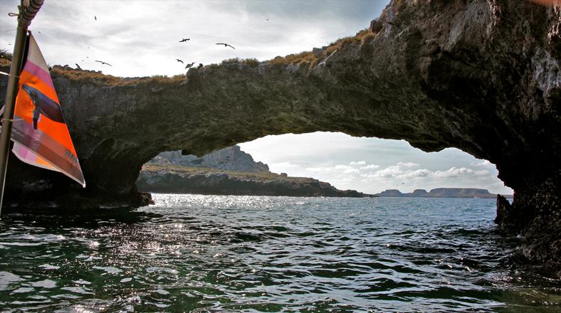 Paraíso oculto: Conoce esta playa tierra adentro en México - 4