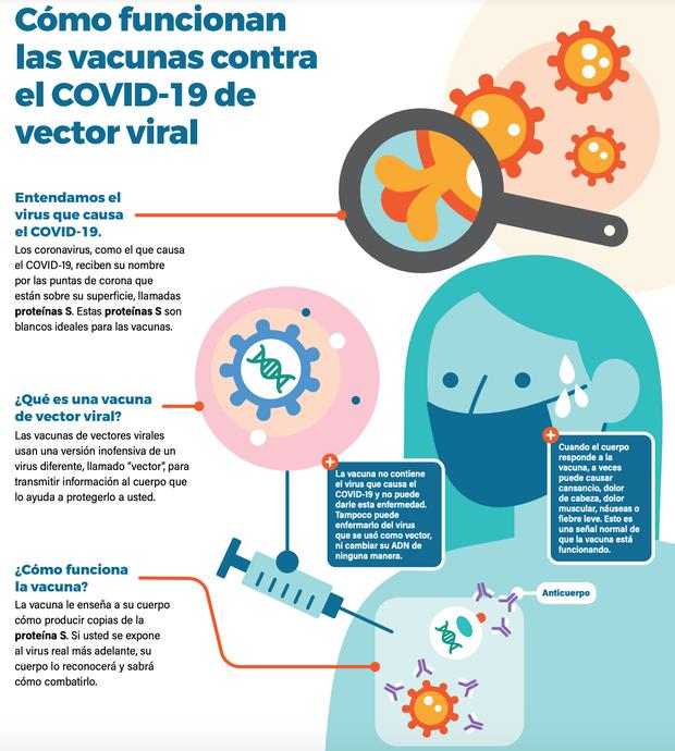 Viral vector vaccines are used against COVID-19.  This is the technology used by Oxford / AstraZeneca.  (Image: CDC-USA)