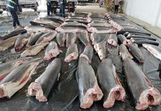 ¿Nuevo delito?: qué hay detrás de los decomisos de casi 25 toneladas de carne de tiburón traficada desde Ecuador  