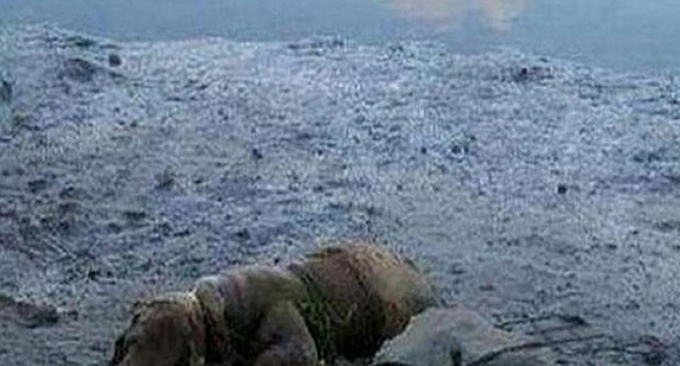 España: Ató un perro a una piedra cerca del mar para ahogarlo. (Foto: Contextotucuman)