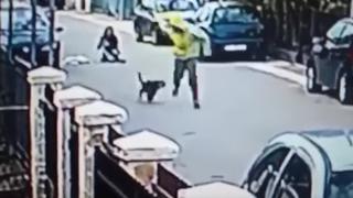 El perro que evitó que una mujer sufriera un robo [VIDEO]
