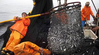 ¿Habrá anchoveta para una segunda temporada de pesca?