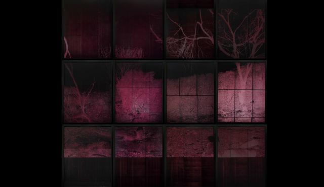 Art Lima: las obras que se presentarán en la sección Principal - 24