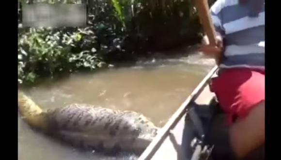 Una aterradora anaconda gigante en la selva de Brasil [VIDEO]