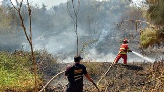 "Fuego de troncos", por José Carlos Requena