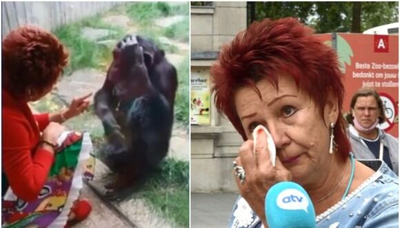 Zoológico de Bélgica prohíbe el acceso a mujer acusándola de tener "romance" con un chimpancé. (Foto: Captura de pantala / ATV)