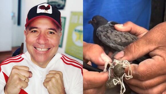 Mathías Brivio celebró rescate de una paloma que estaba atrapada entre cables de Barranca. (Foto: @mathiasbrivio/ Captura de video)