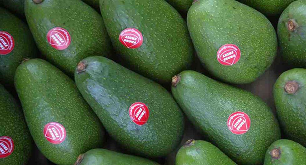 Perú comercializará en Colombia nuevos productos agrícolas como la palta hass. (Foto: Andina)