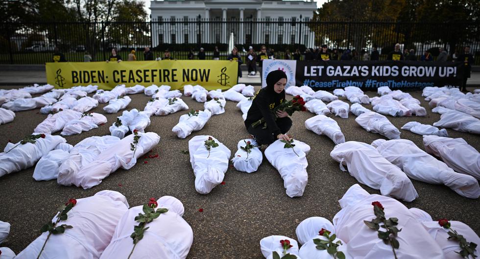 Una manifestante coloca flores sobre bolsas para cadáveres envueltas en blanco que representan a las víctimas del conflicto entre Israel y Hamas en Gaza, frente a la Casa Blanca, el 15 de noviembre de 2023. (Foto de Mandel NGAN / AFP).