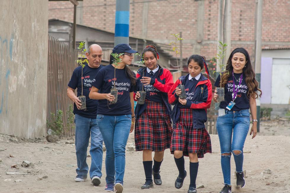 Voluntarios sembraron más de 2.400 árboles en Ventanilla (Foto: Fundación Telefónica).