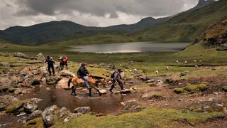 Cusco: el impresionante tour de cascadas, bosques, nevados, lagunas, auquénidos y baños termales