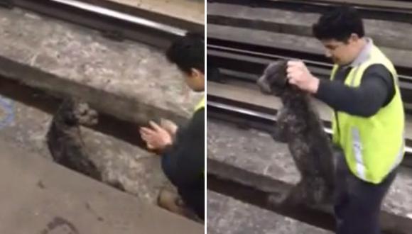 Detuvo tren para rescatar a un perro de los rieles [VIDEO]