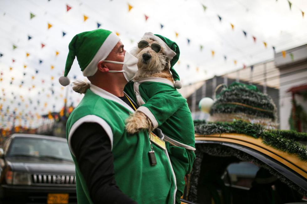 Las personas que busquen un poco de alegría en medio de la pandemia en esta atípica Navidad en Bogotá, la capital de Colombia, pueden hallarla en un lugar inesperado: en el asiento delantero del próximo taxi en donde se pueden topar con un inusual canino disfrazado de Santa Claus.