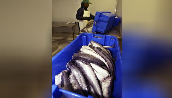 La exportación de productos en base a merluza alcanzó US$27 millones en 2018. (Foto: AFP)