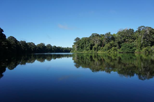 Cocha Cashu se ubica a orillas de un lago de herradura que dio nombre a la Estación. Foto de Jessica Groenendijk.