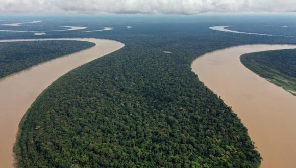 "Es urgente que el Gobierno tome medidas para la protección y el desarrollo apropiado de este legado y riqueza amazónica, dado su estado de alta vulnerabilidad".