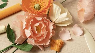 ¿Cómo hacer flores de papel y sorprender a esa persona especial?