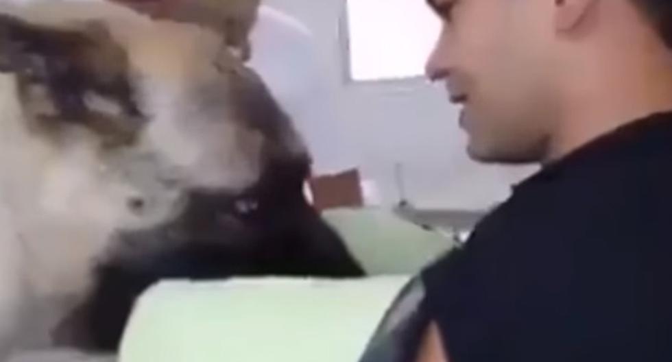 El video de YouTube nos demuestra la amistad que tuvo este hombre con su perro que le dio una triste despedida tras largos años de amistad. (Foto: captura)