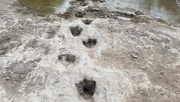 Decenas de huellas de dinosaurio fueron encontradas en un parque estatal de EE.UU. / DINOSAUR VALLEY PARK/PAUL BAKER