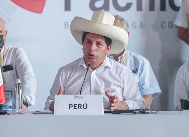 Pedro Castillo during the XVI summit of the Pacific Alliance.  (Photo: Presidency)