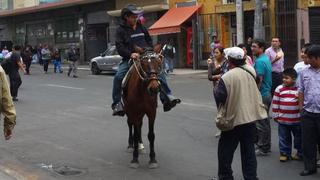 Ambulante usa caballo para ganarse S/.5 en el Cercado