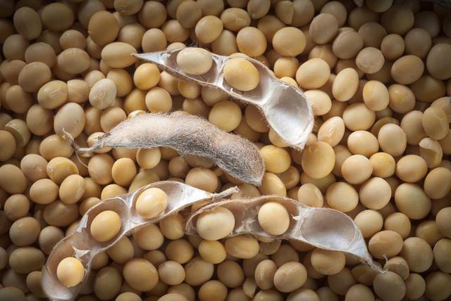 Soya: conoce los beneficios de la reina de los granos - 2