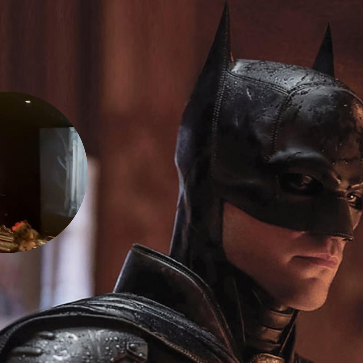Viral | The Batman: Video muestra a murciélagos volando mientras se  proyecta película en sala de cine | Tendencias | Robert Pattinson | Batman  | Twitter | The Batman trailer | Redes