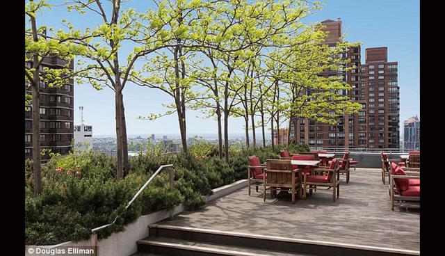 Cuenta con una increíble terraza, desde donde se puede observar Central Park y el río Hudson. (Foto: Douglas Elliman)