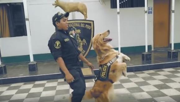 Policía Nacional del Perú lanzó video de su parodia a "Scooby Doo Papá" con escuadrón canino en Facebook. (Captura/Facebook)