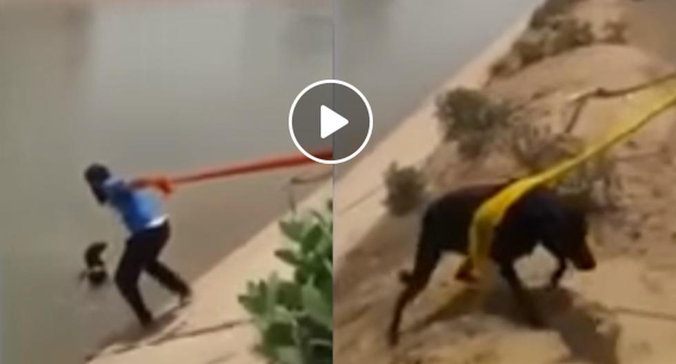 Este video de YouTube nos muestra cómo es que una persona salva a un pobre perrito en la India usando un turbante. (Foto: captura)