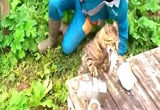 YouTube: Sujeto logró capturar un pez hasta que un gato... (VIDEO)