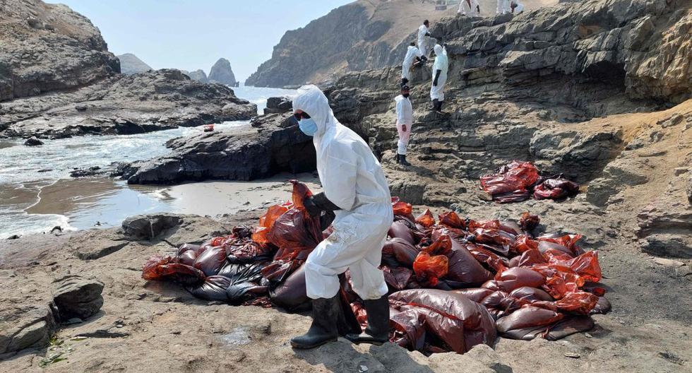 Voluntarios limpian las playas de Ventanilla tras el derrame de petróleo ocurrido el pasado fin de semana. Foto: AFP