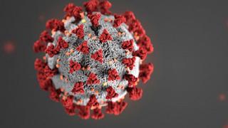 COVID-19 | Hay más de 1.200 virus identificados que pueden saltar de animales a humanos