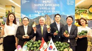 Emart, la cadena de supermercados más grande de Corea del Sur, inicia venta de palta peruana
