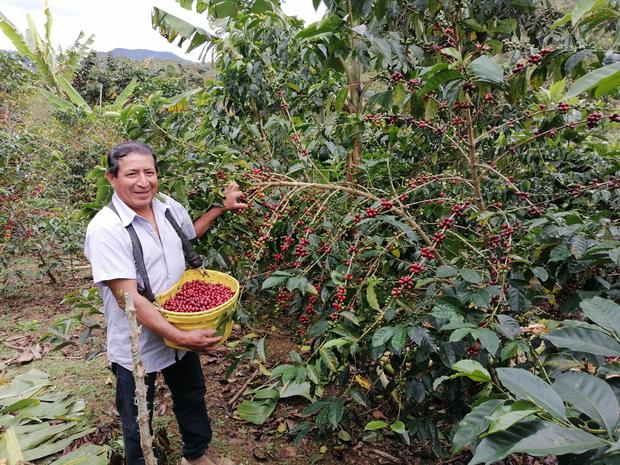 Franco Huaches Montalván achieved second place in the competition, he grows his coffee in the province of San Ignacio, Cajamarca.  (Photo: Cup of Excellence)