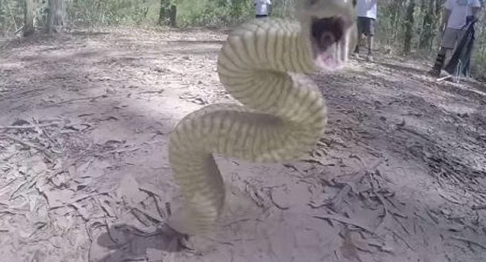 Este ataque de serpiente te hará vivir la tercera dimensión. (Foto: Captura)