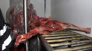 San Martín de Porres: incautan siete toneladas de carne de caballo
