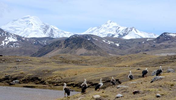 "Desde tiempos inmemoriales, el Perú fue una sociedad serrana, siendo el incaico el único gran imperio en la historia universal que se desarrolló por encima de los 2.500 m. sobre el nivel del mar". (Foto: Yvette Sierra Praeli)