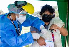 Surco: ‘vacunatón’ de mascotas se realizará en diferentes parques del distrito 
