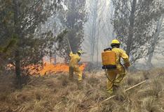 Áncash: incendio forestal afecta distrito de Chavín de Huantar