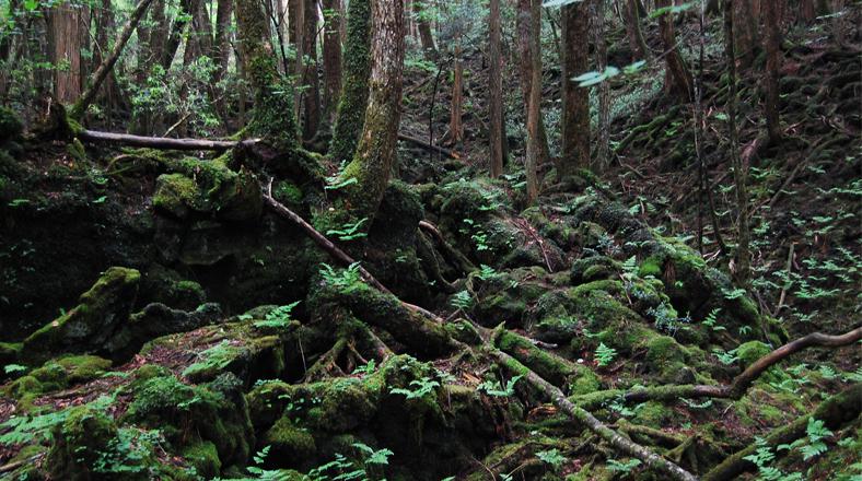 Viernes 13: Conoce estos lugares embrujados alrededor del mundo - 2