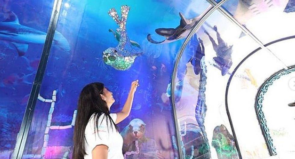 El acuario sostenible lleva a los ciudadanos a tomar conciencia del cuidado de las playas y océanos, para así preservar la vida de las especies marinas. (Foto: Instagram)