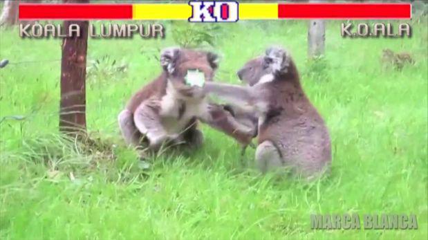 YouTube: las peleas de "Street Fighter" más adorables (VIDEO)