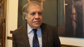 “Una vez que Evo Morales quedó en evidencia, no tenía otra opción que irse”: Luis Almagro, jefe de la OEA