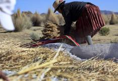 Fenómeno El Niño: 31.000 hectáreas de cultivos afectadas en Bolivia