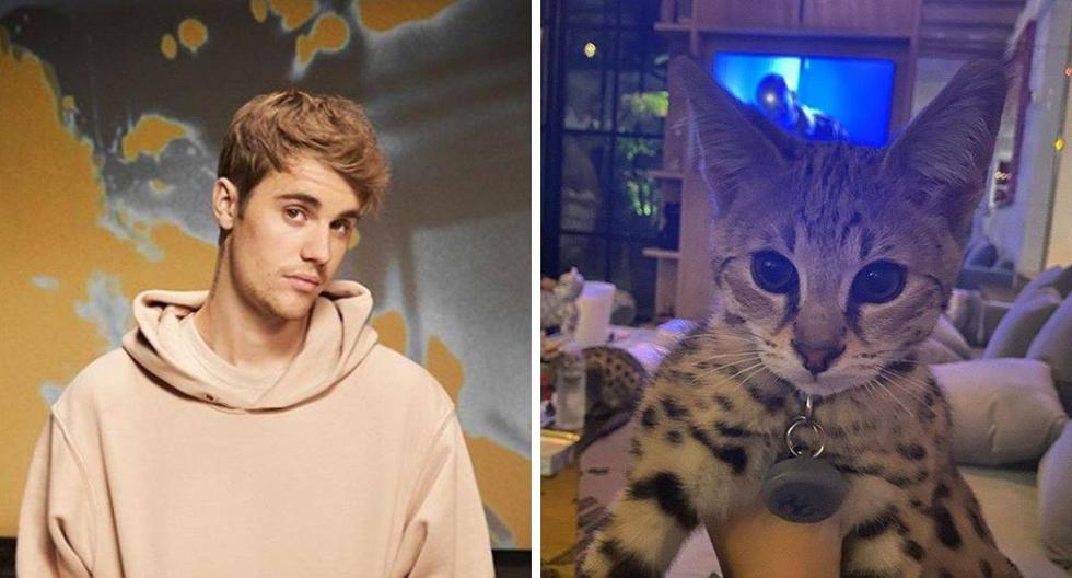 El canadiense quiere que dejen en paz a sus mascotas.  (Foto: @justinbieber)